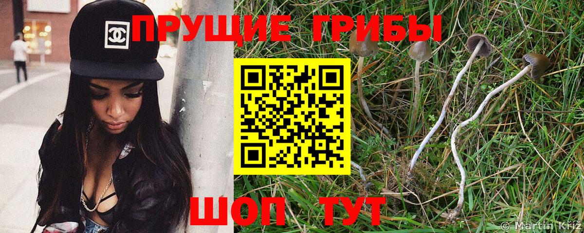 Галлюциногенные грибы прущие грибы Аргун